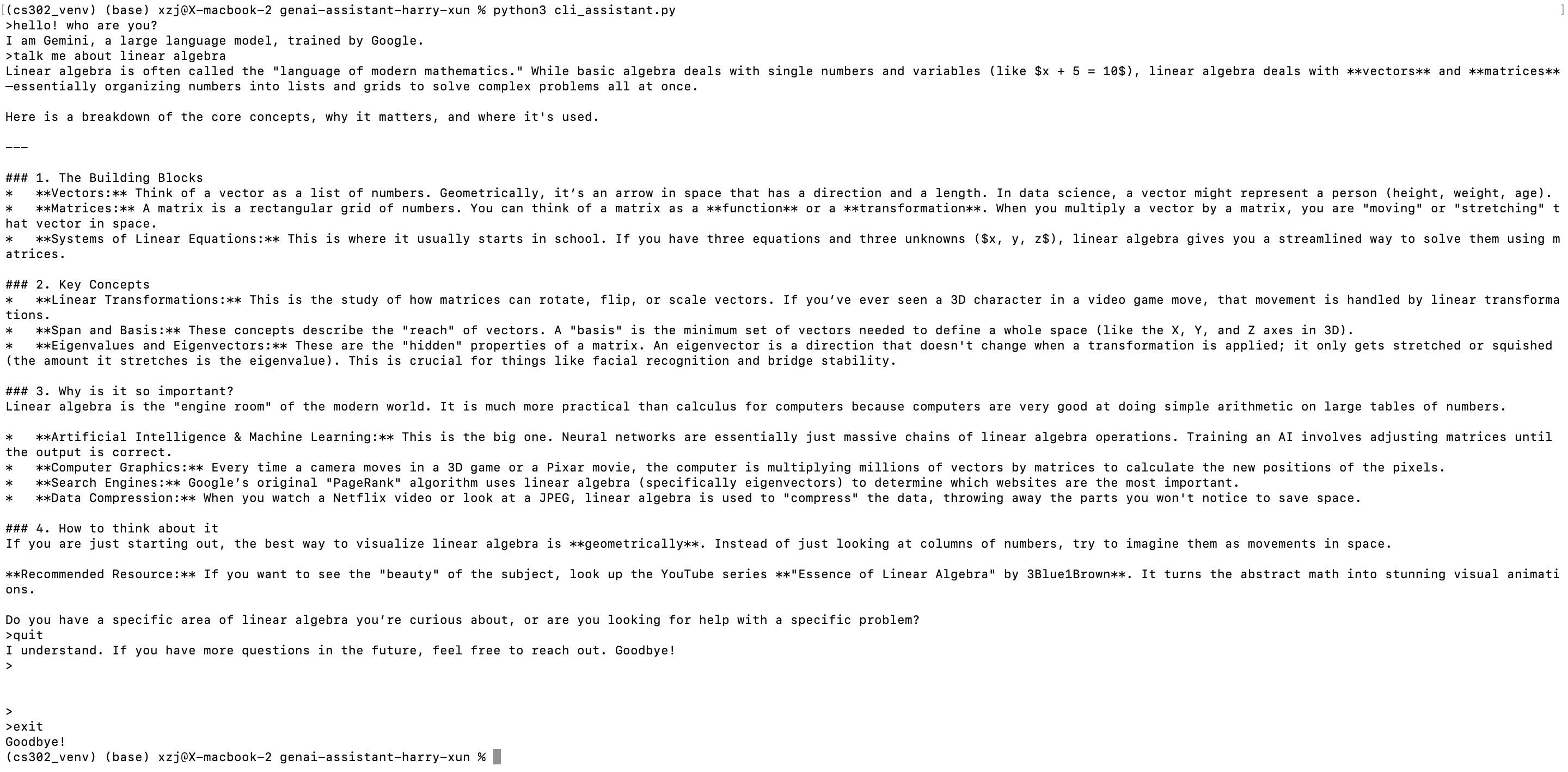 Example of interacting with GenAI through command line